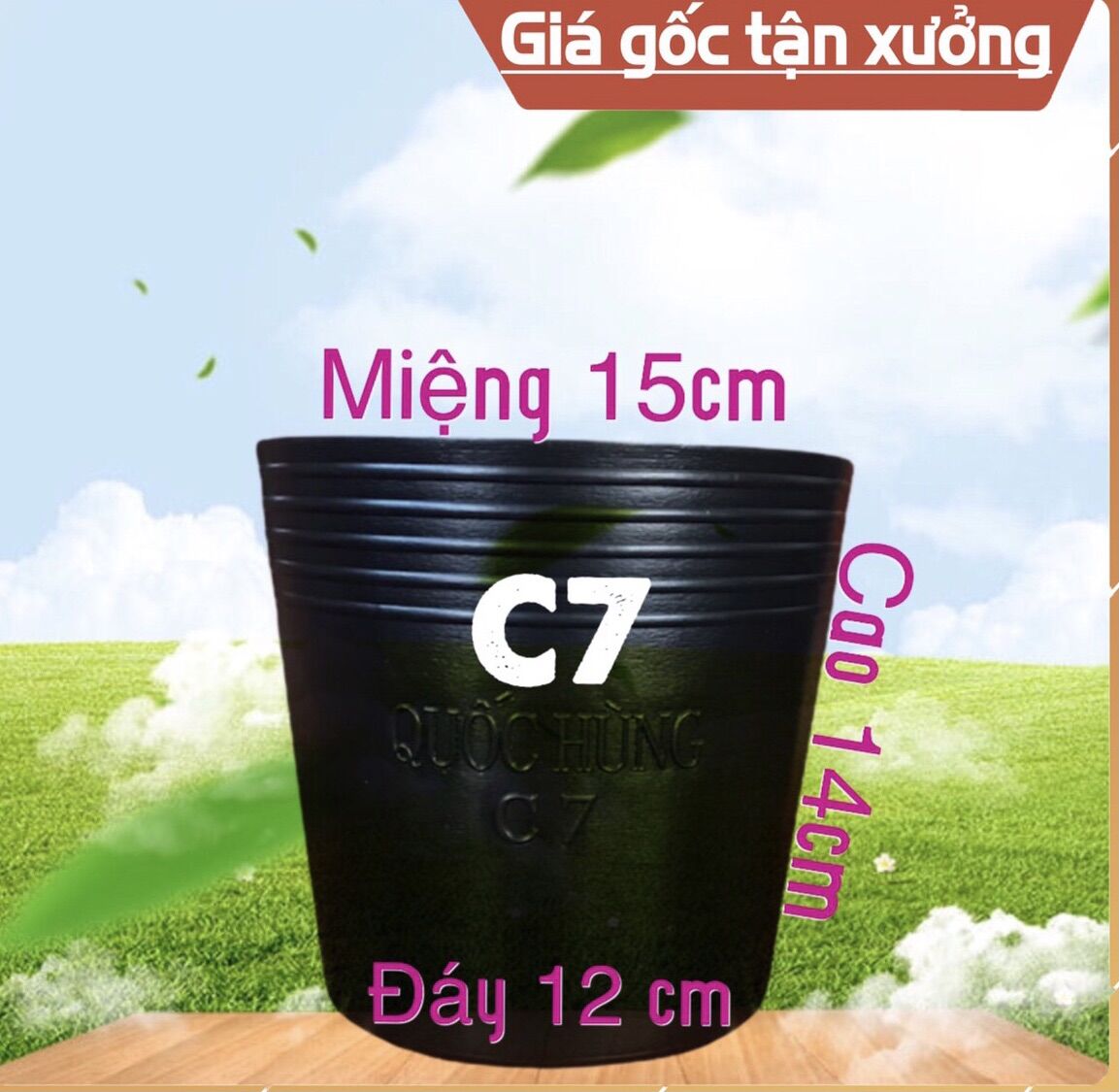 Combo 50 chậu nhựa C7 thương hiệu Quốc Hùng