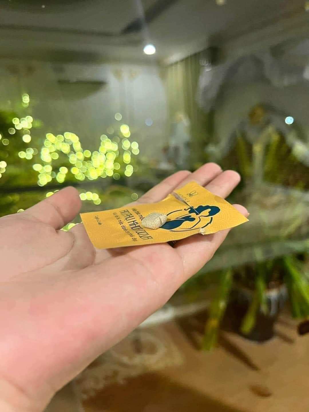 1 viên an phụ khoa Dova