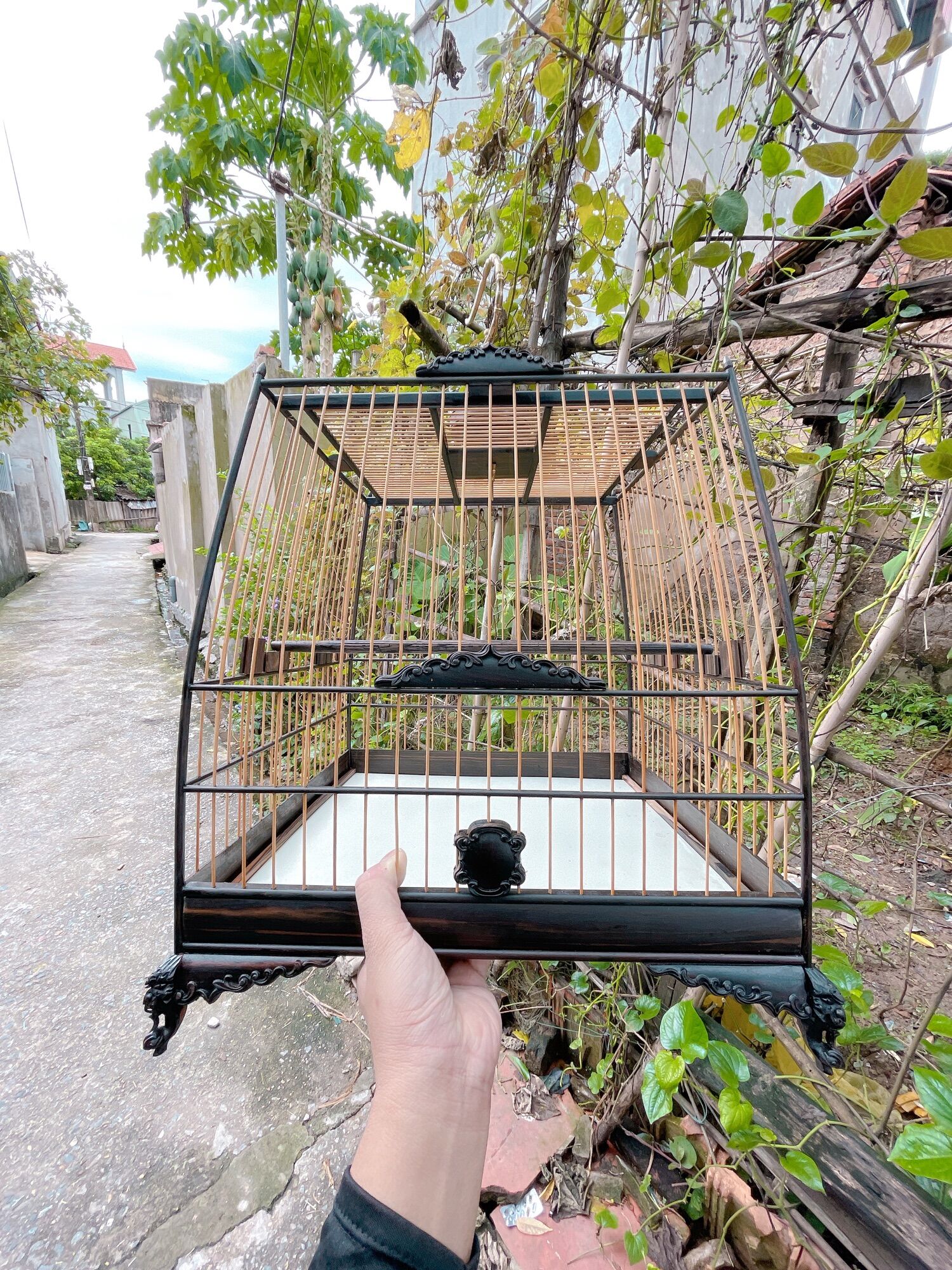 LỒNG THÁI ĐẤU MUN LÁ ĐỀ ĐỤC VIỀN SẮC NÉT