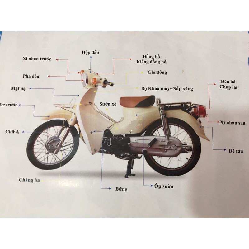 Dè trước (chắn bùn trước) cub đời mới chính hãng UMV(2)