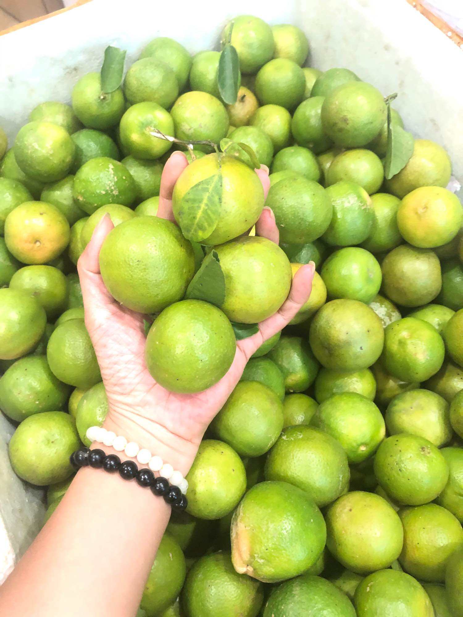 [Giá Rẻ] 500G Chanh Đào Tươi Hoà Bình , loại Hàng đều đẹp , mỏng vỏ