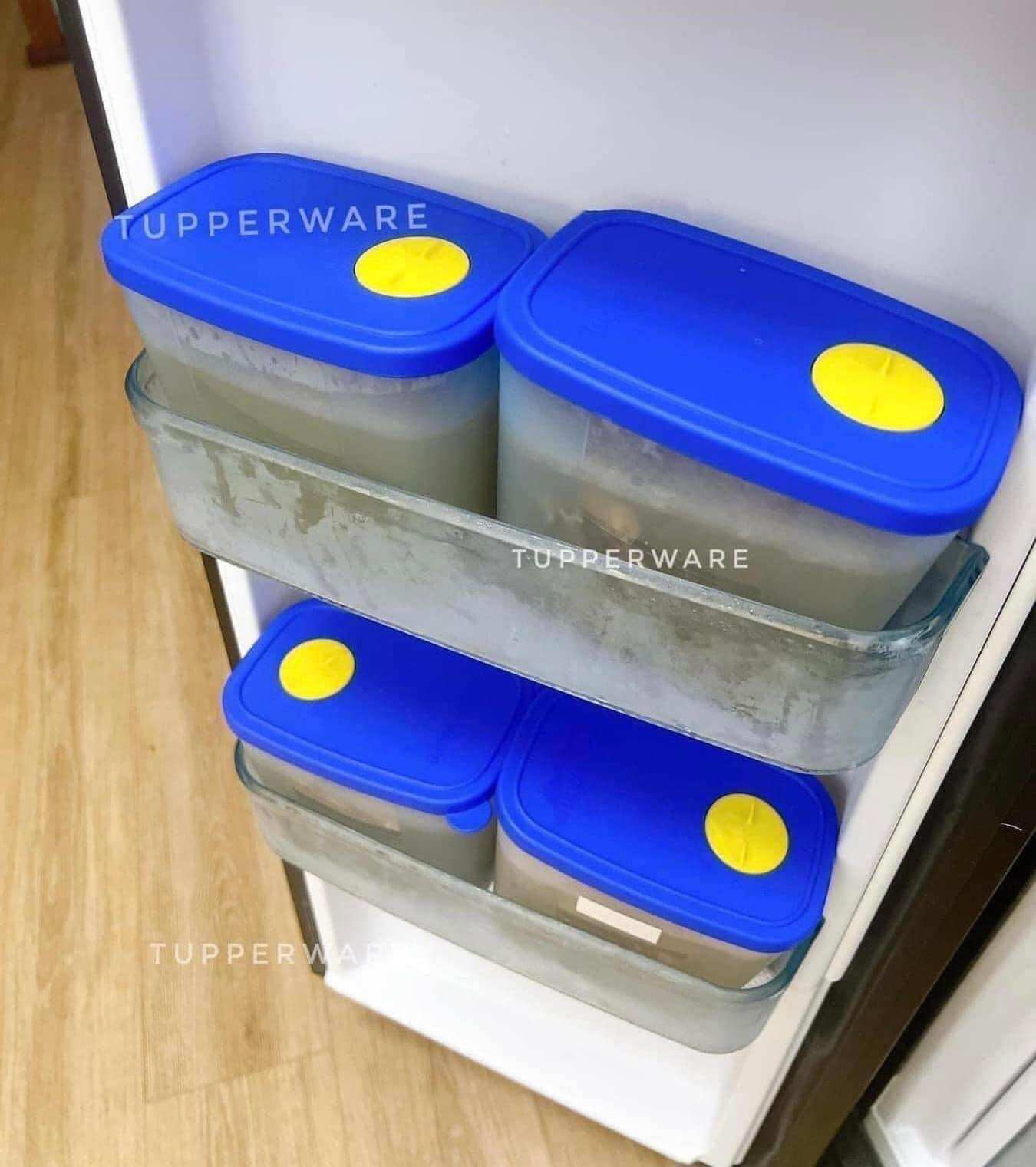 Set 4 hộp trữ đông 820ml Tupperware