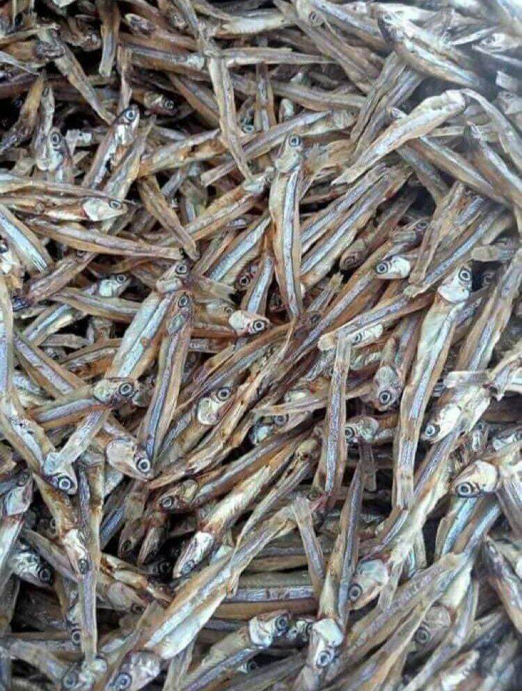Ca cơm khô con to
