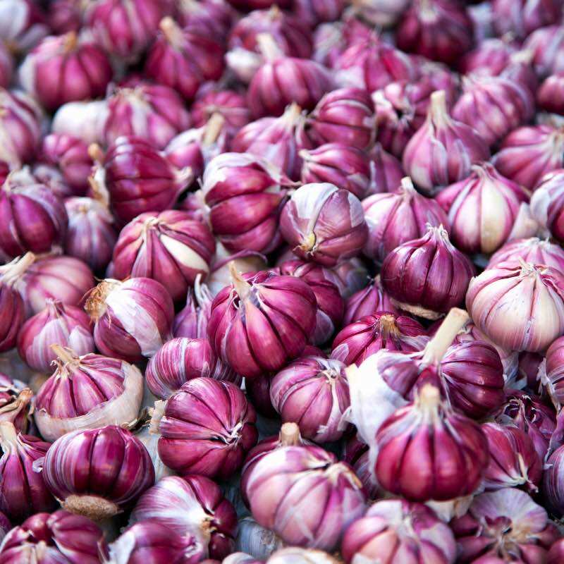 CỬA HÀNG TỎI ĐẸP
