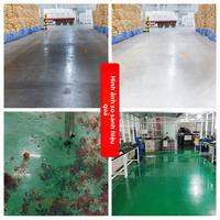 PITT ROAD | Chất Tẩy Dầu Mỡ Hiệu Quả cho Sàn Công Nghiệp