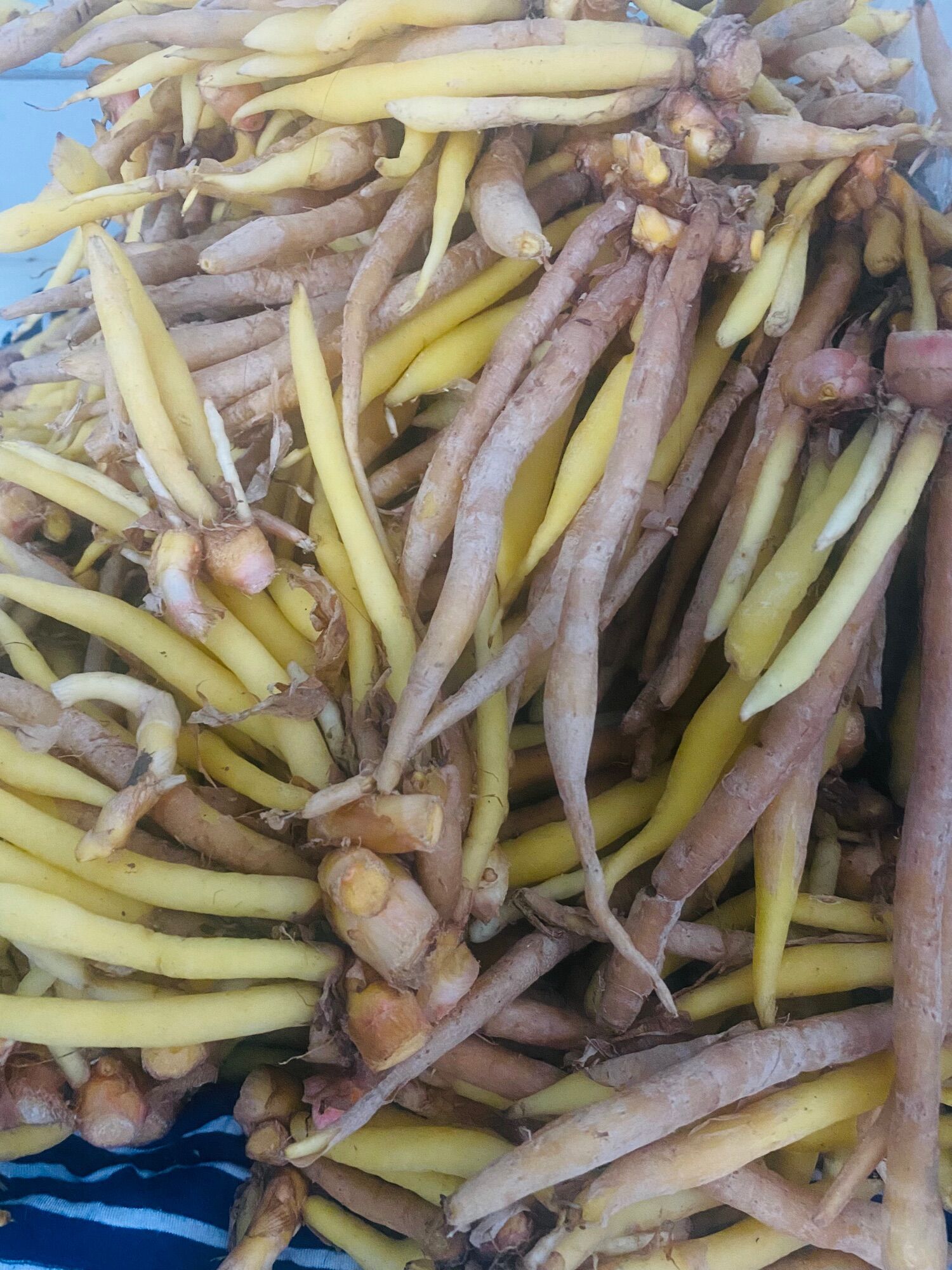 Củ Ngải bún , củ ngãi Bún Tươi 500gram