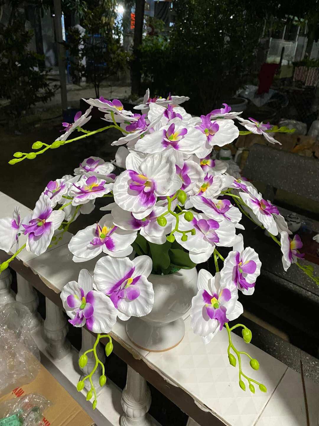 Cành hoa Lan Hồ Điệp thân dài 60cm