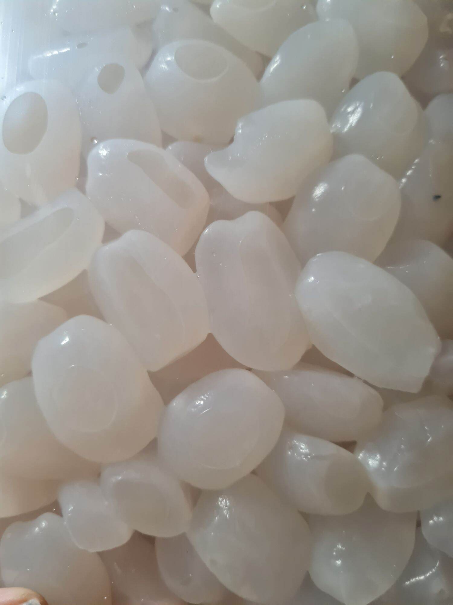 1kg Hạt đác tươi Atifood - Hạt loại to