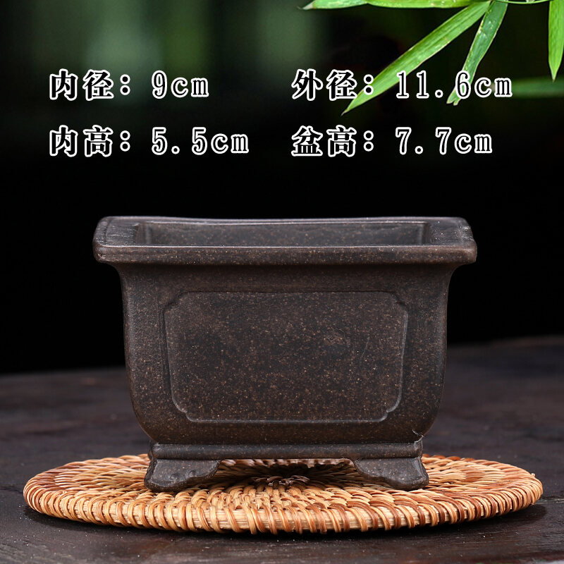 Miniature Purple Clay Square Pot Succulent Plant Bonsai Landscape Miniature Yellow Elm Stone Orchid 