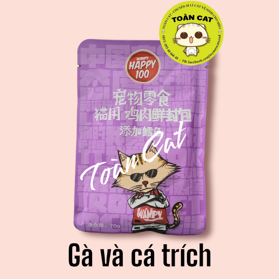 Combo 12 gói pate wanpy happy 100 cho mèo gói 70g- pate cho mèo