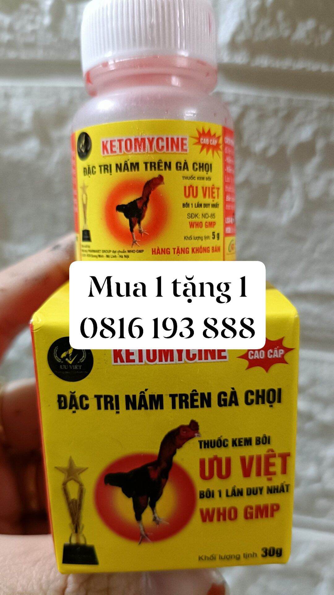 Mốc ưu việt cho gà chọi gà đá khuyến mại lọ bé