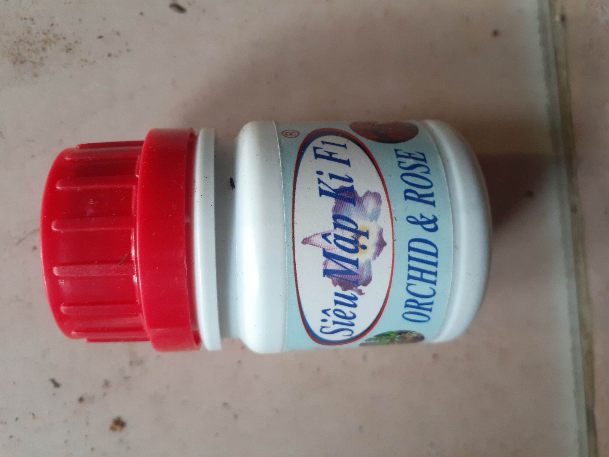 SIÊU MẬP KIE F1 HOA LAN
