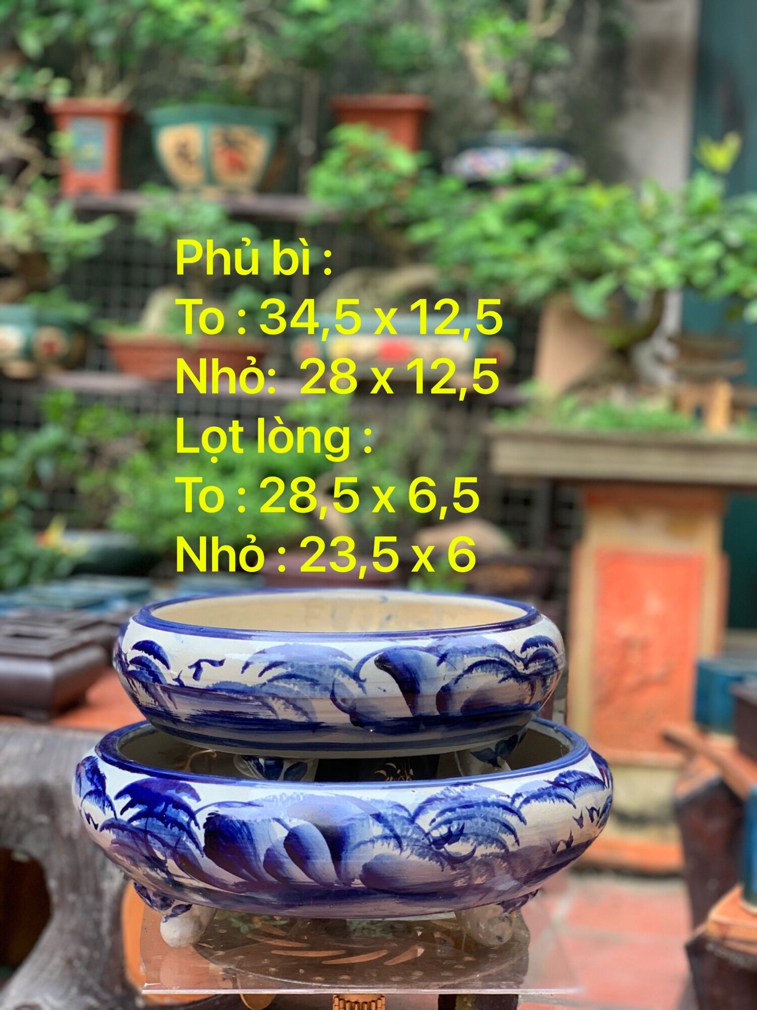 Chậu cảnh trồng cây bonsai