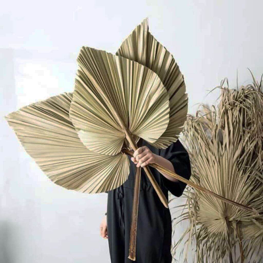 Lá cọ khô trang trí lh 0984694688