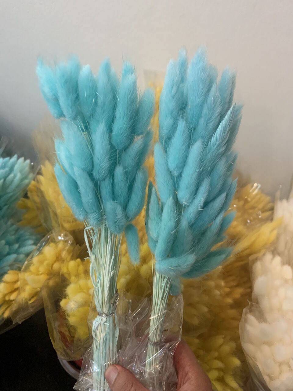 Hoa Cỏ Đuôi Thỏ Khô Trang Trí Decor (60 bông/ bó)