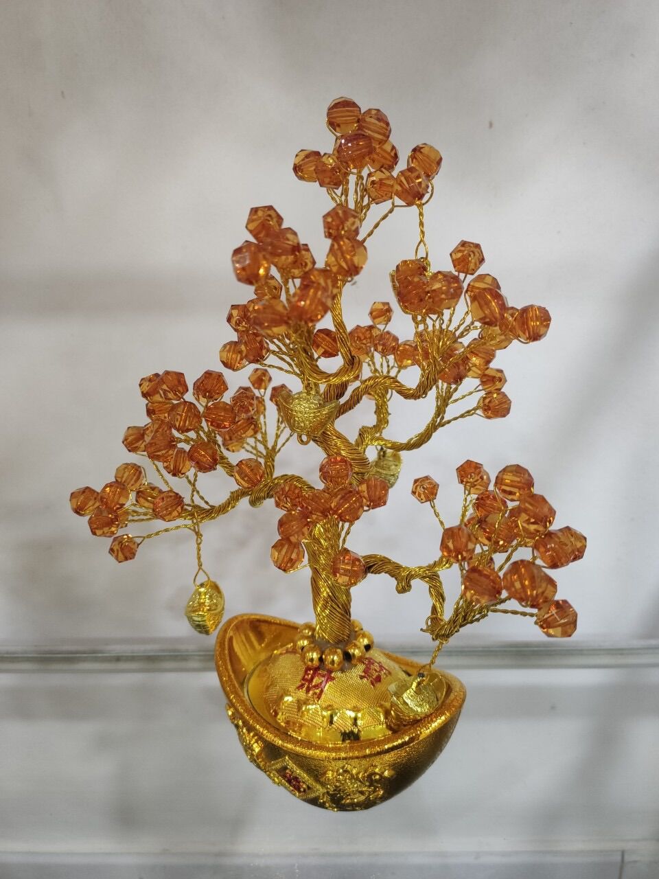 Cây kim tiền mini cao 16cm
