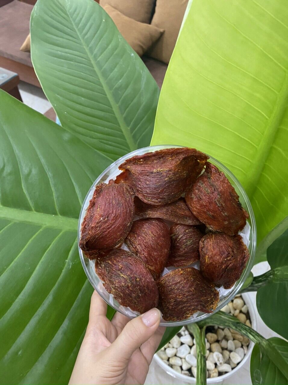 Hộp 50-100gram huyết yến thô nguyên chất yến đảo kiên giang màu đỏ tự nhiên kèm 🎁