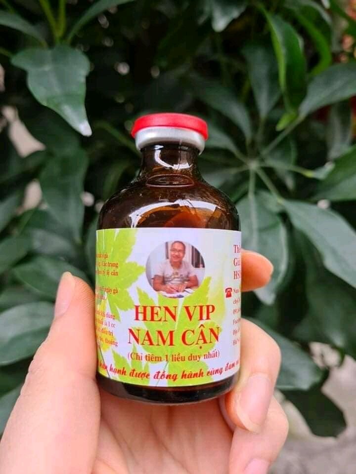 Hen vip nam cận