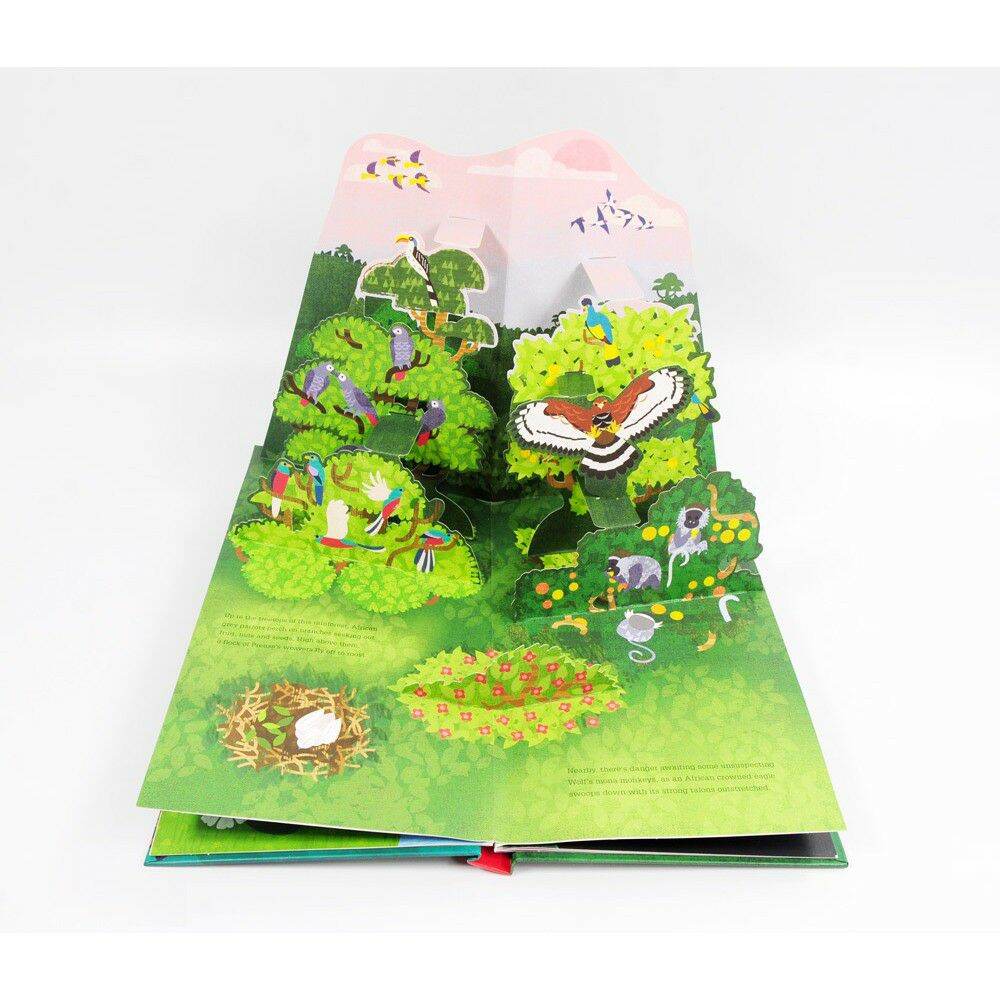Sách - Dựng Hình 3D - What’s Above? - Bên Trên Có Gì?