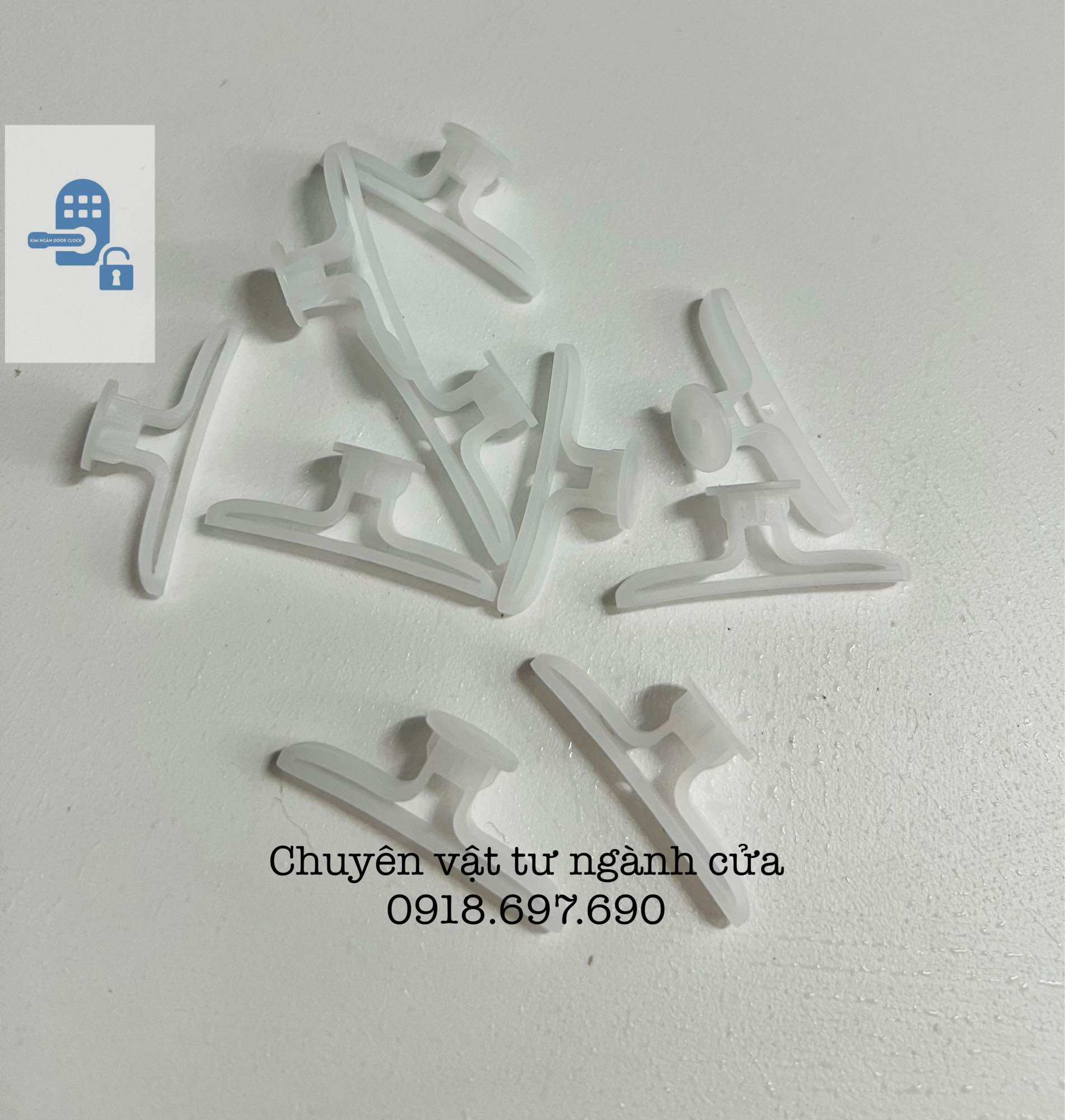 [ 10con ] Tắc kê thạch cao - tắc kê bướm