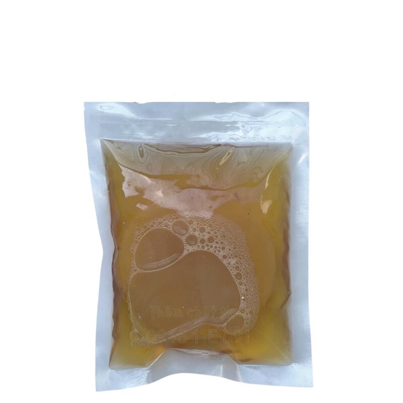 SCOBY kèm nước mồi Con giống làm trà Kombucha