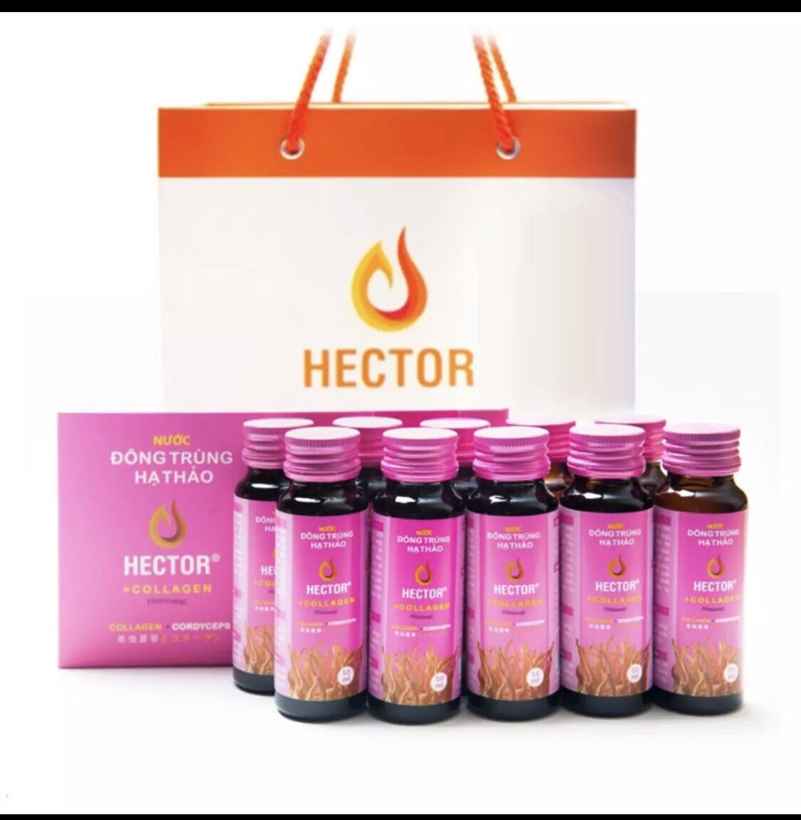 (HCM)Nước đông trùng hạ thảo Hector collagen ( COMBOM 1 HỘp 10 CHAI ) giá rẻ