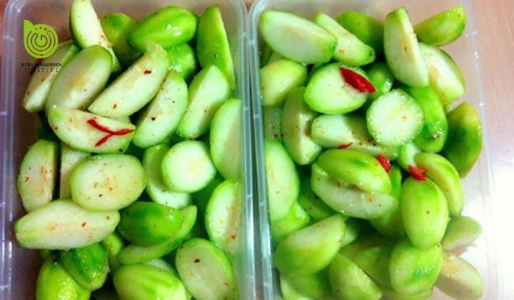 cây cóc thái đang ra hoa trái
