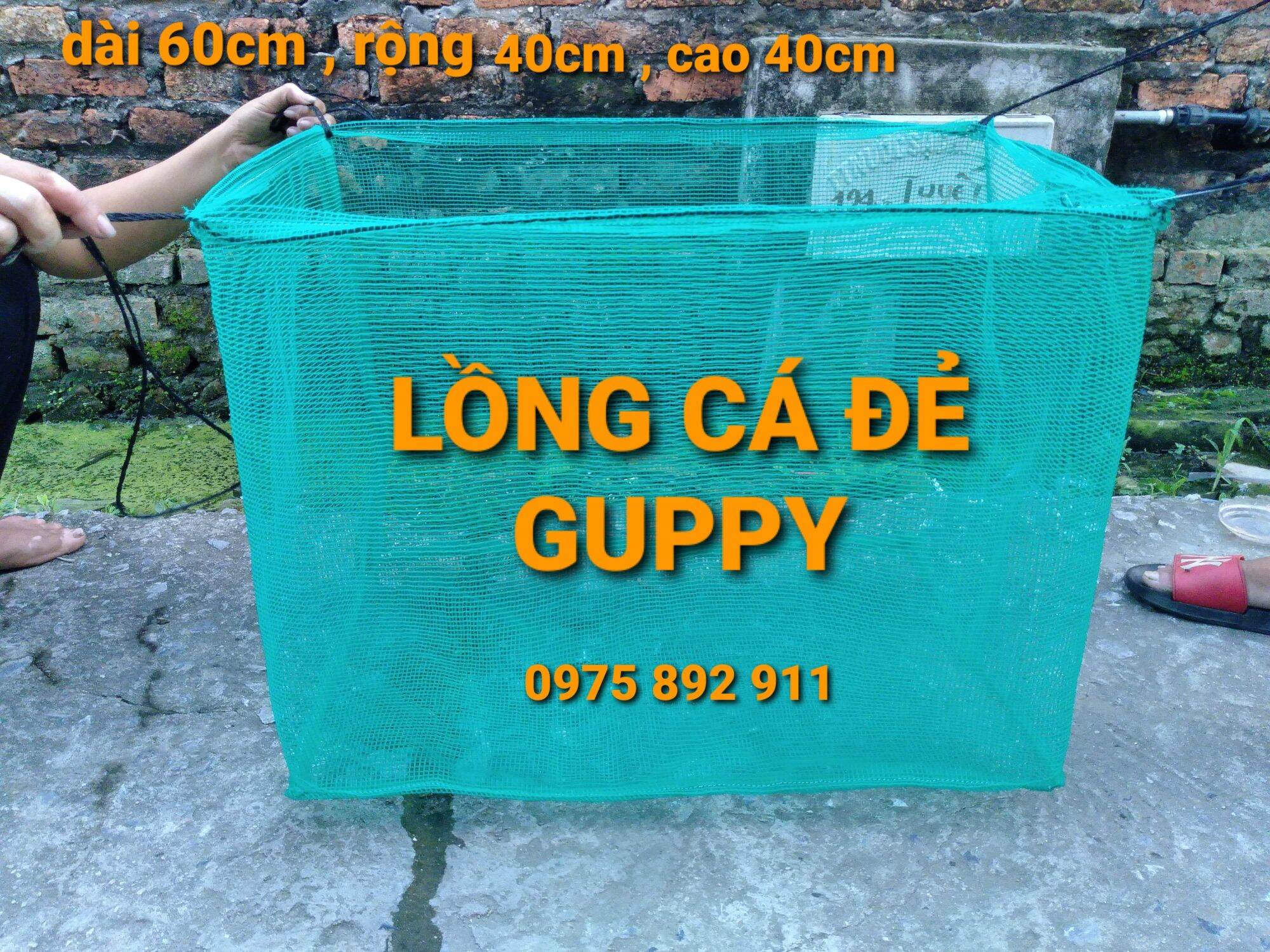Lồng cho cá đẻ GUPPY