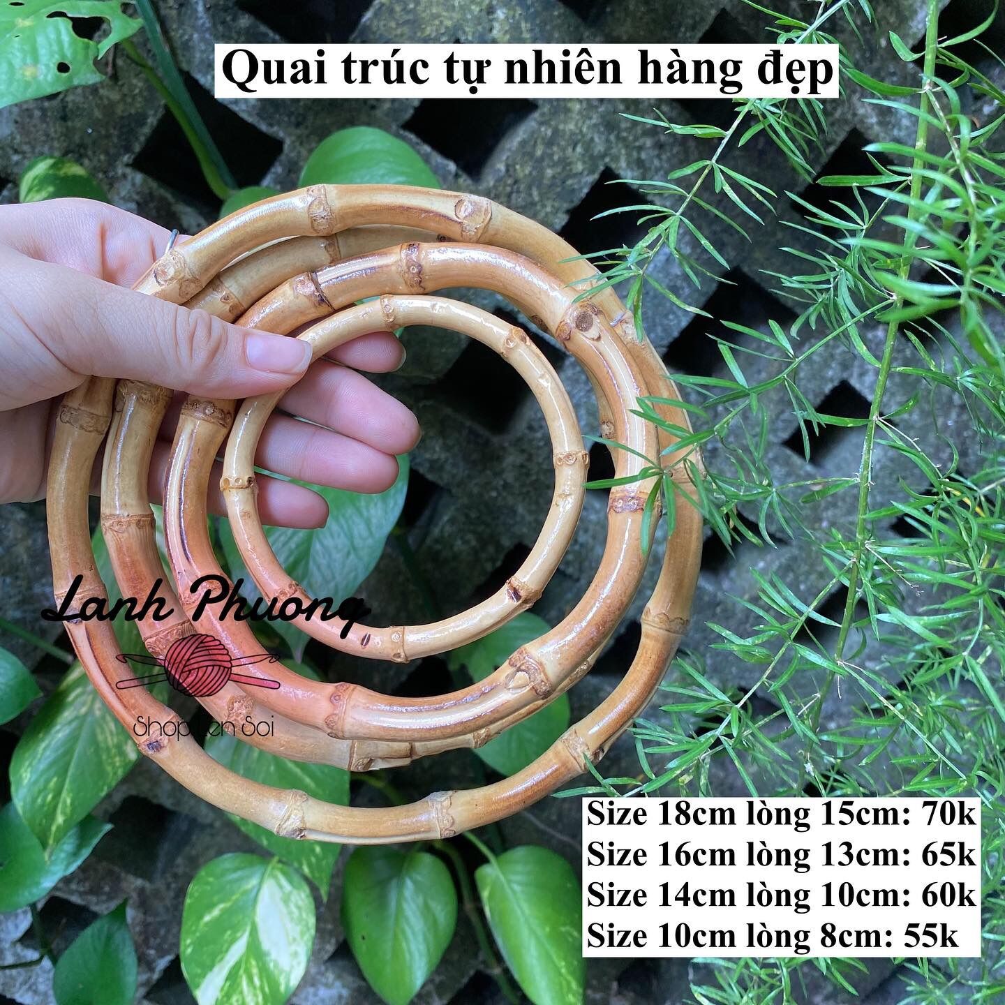 Quai trúc tự nhiên làm túi xách