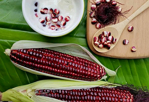 Ngô Tím Nữ Hoàng 1kg ( ngâm rượu cực thơm)