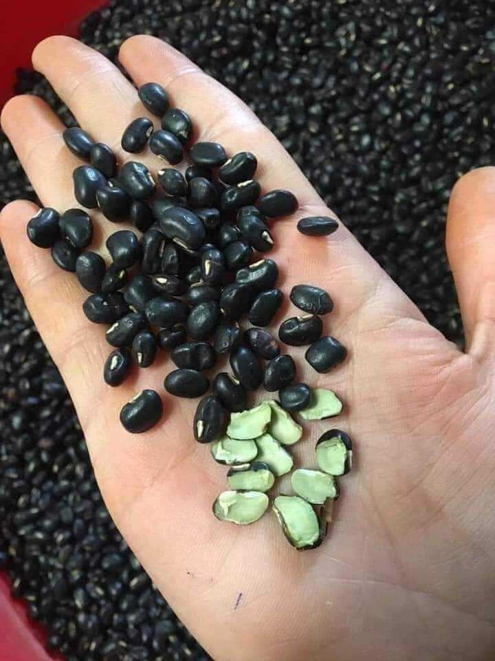 Đỗ đen xanh lòng 1kg