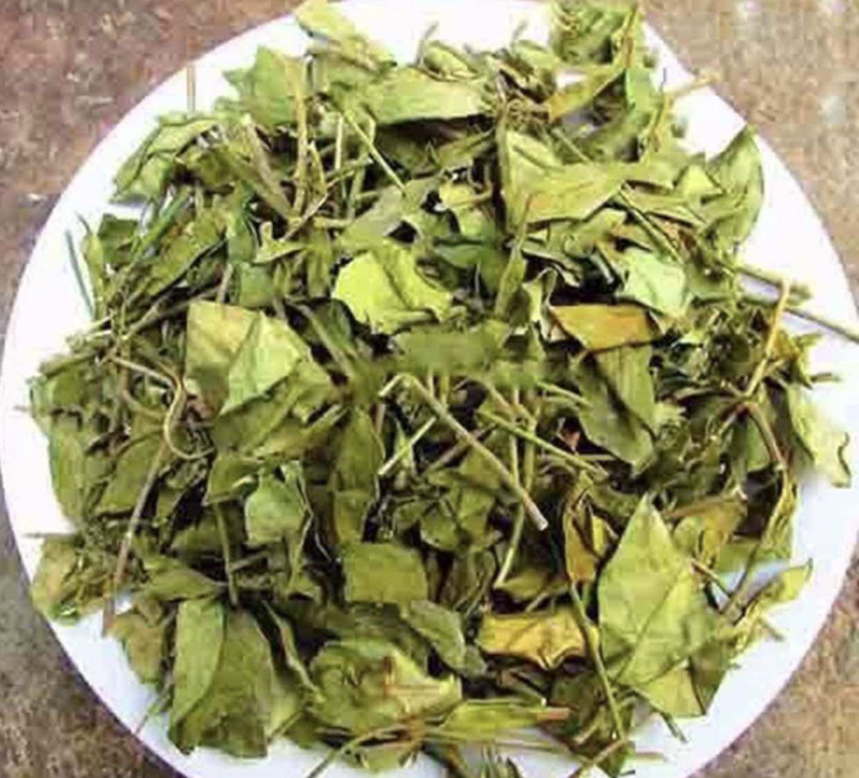 Thìa canh Hải Hậu -Nam Định