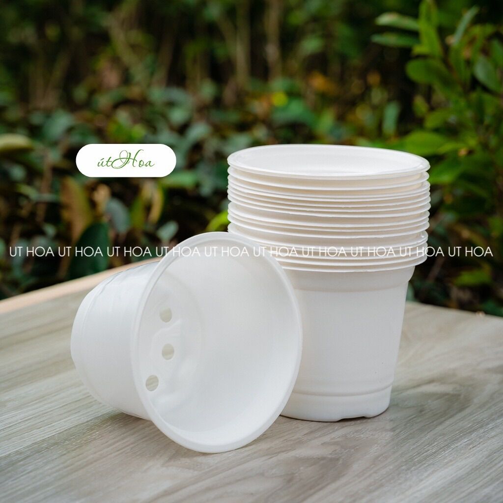 Chậu nhựa trắng T23 (23x16cm)có vành miệng cứng