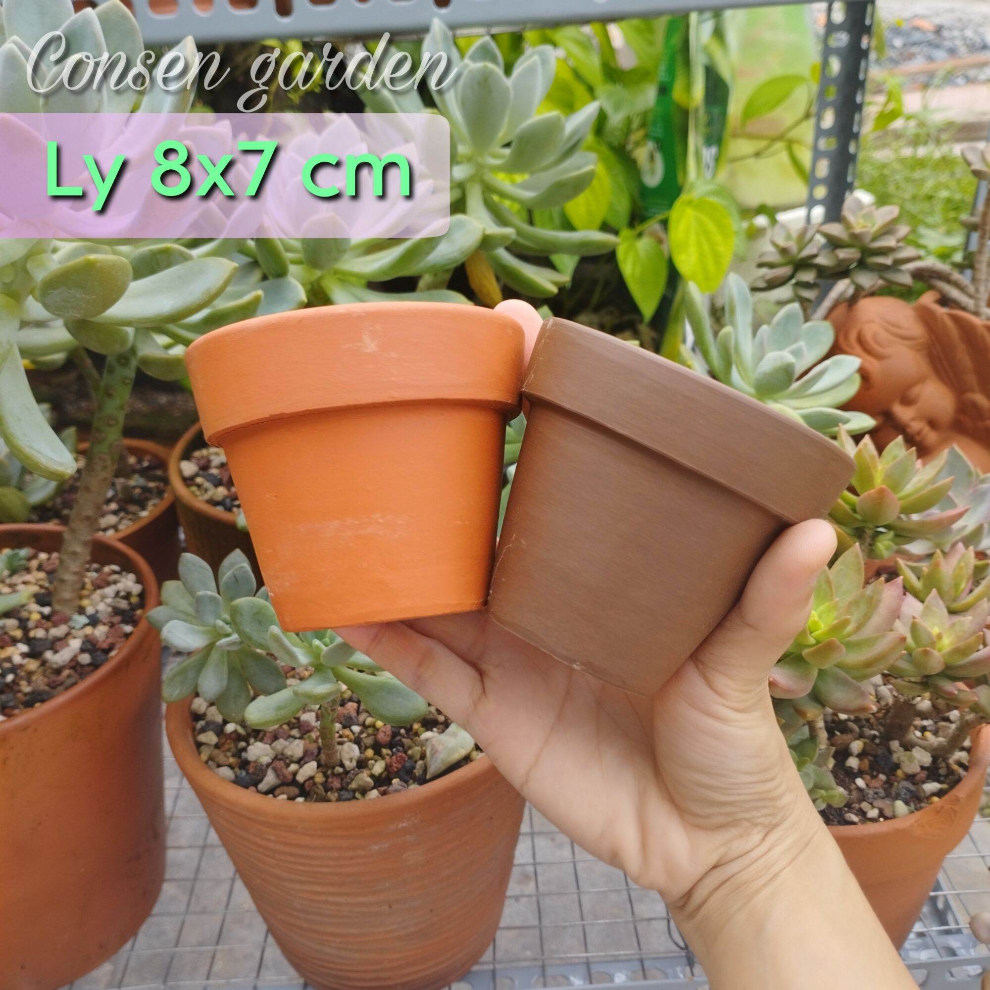 [Bao Bể Vỡ] Chậu Đất Nung Chậu Trồng Sen Đá 8x7 Cm