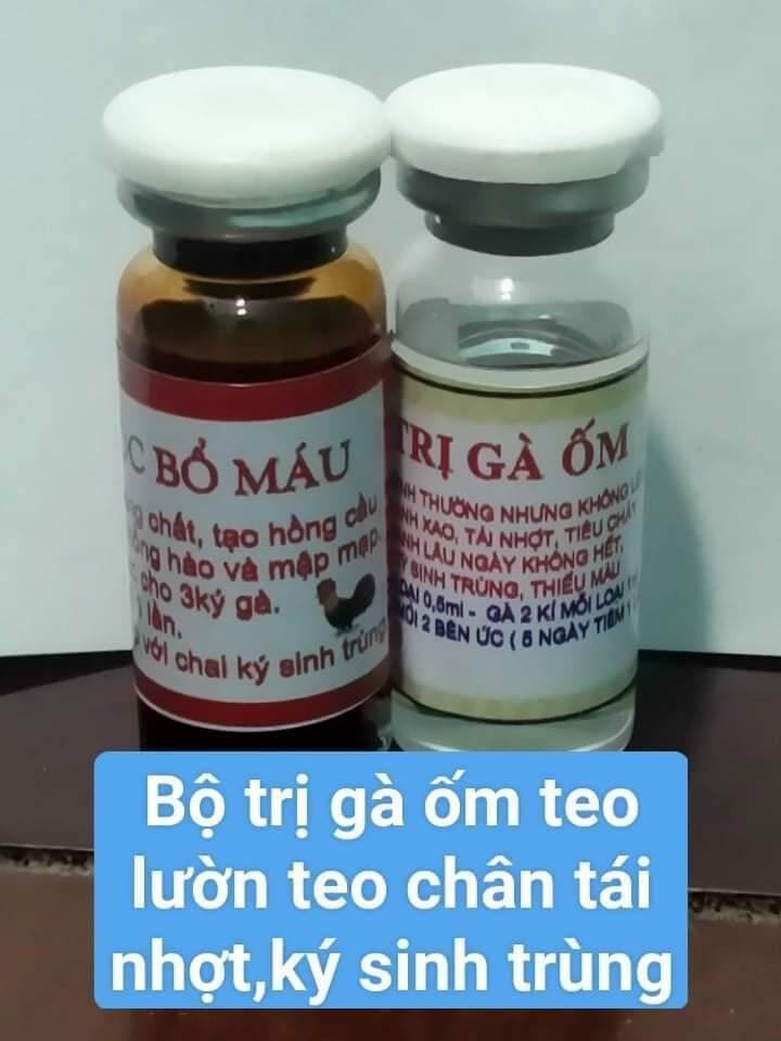 Gà ốm trong, teo lườn, nhiễm ký sinh trùng