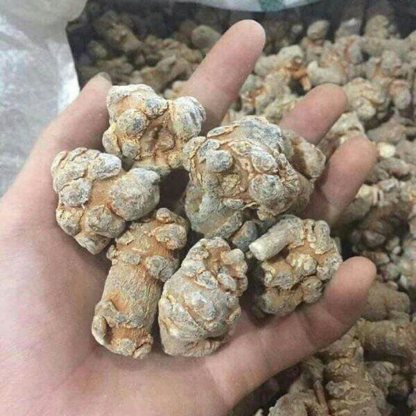 500g củ tam thất