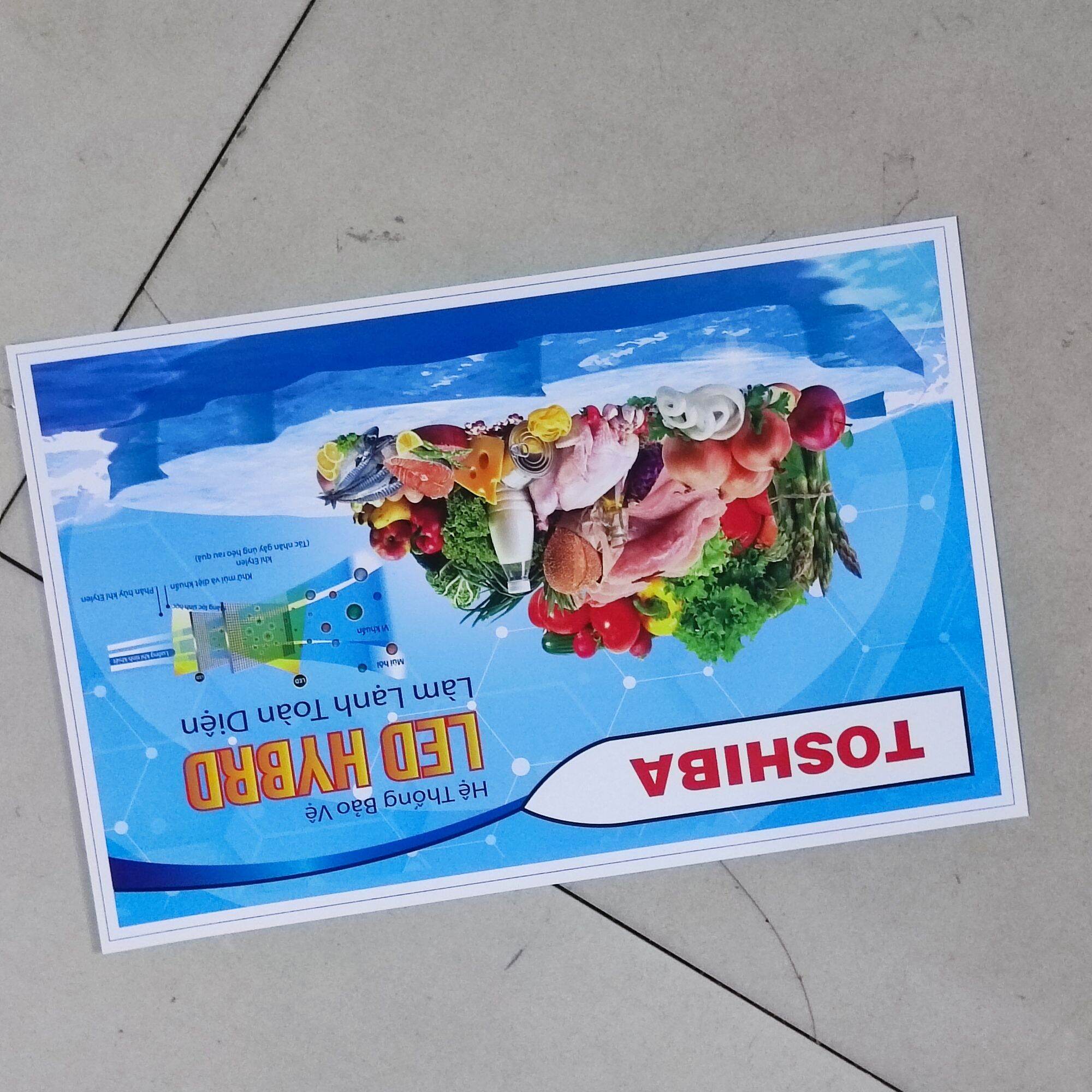 tem dán tủ lạnh Toshiba