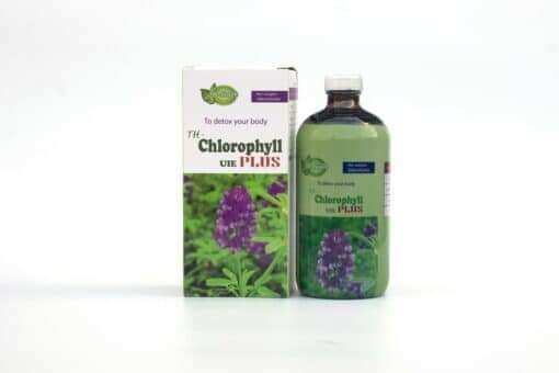 Diệp lục th - chlorophyll uie plus