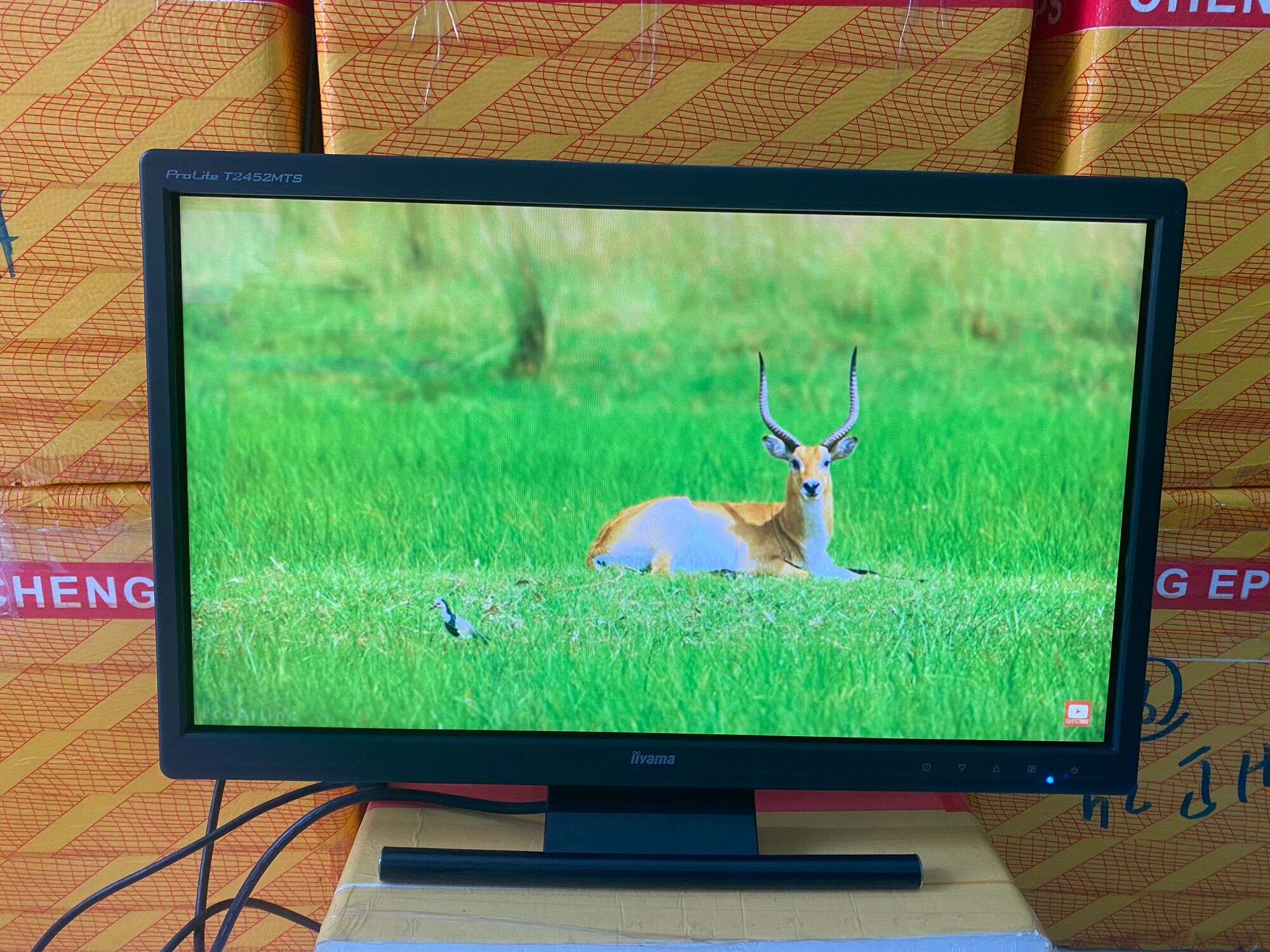 Màn hình Full HD 24 inch iiyama thương hiệu Nhật bản