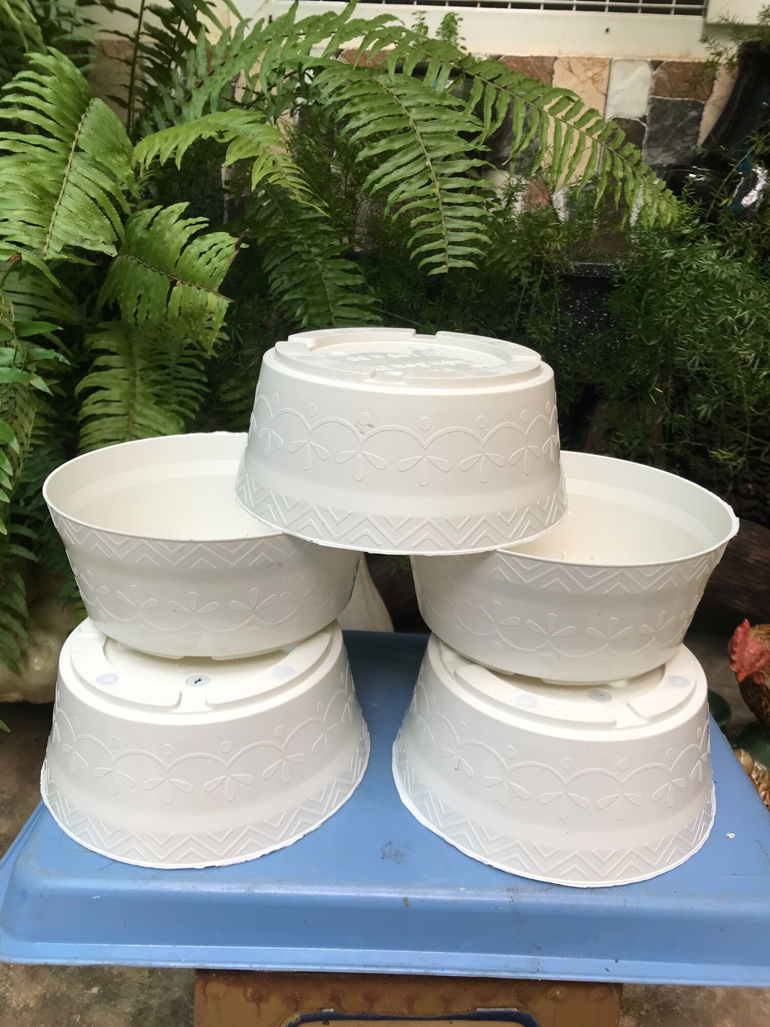 5 chậu nhựa trồng sen đá miệng rộng 18cm x cao 8cm