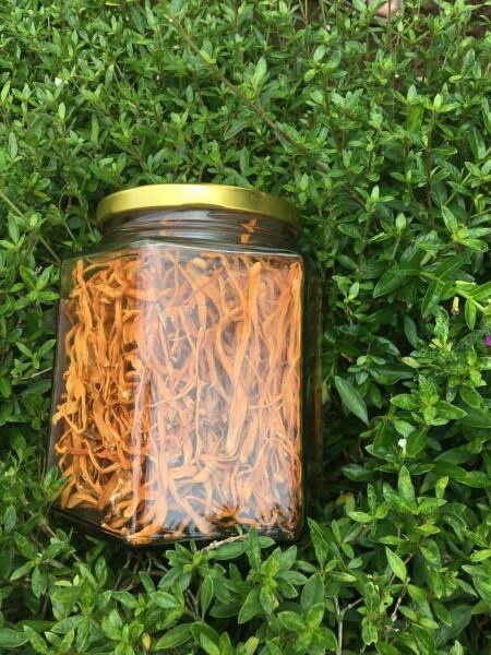 Đông trùng hạ thảo 100g