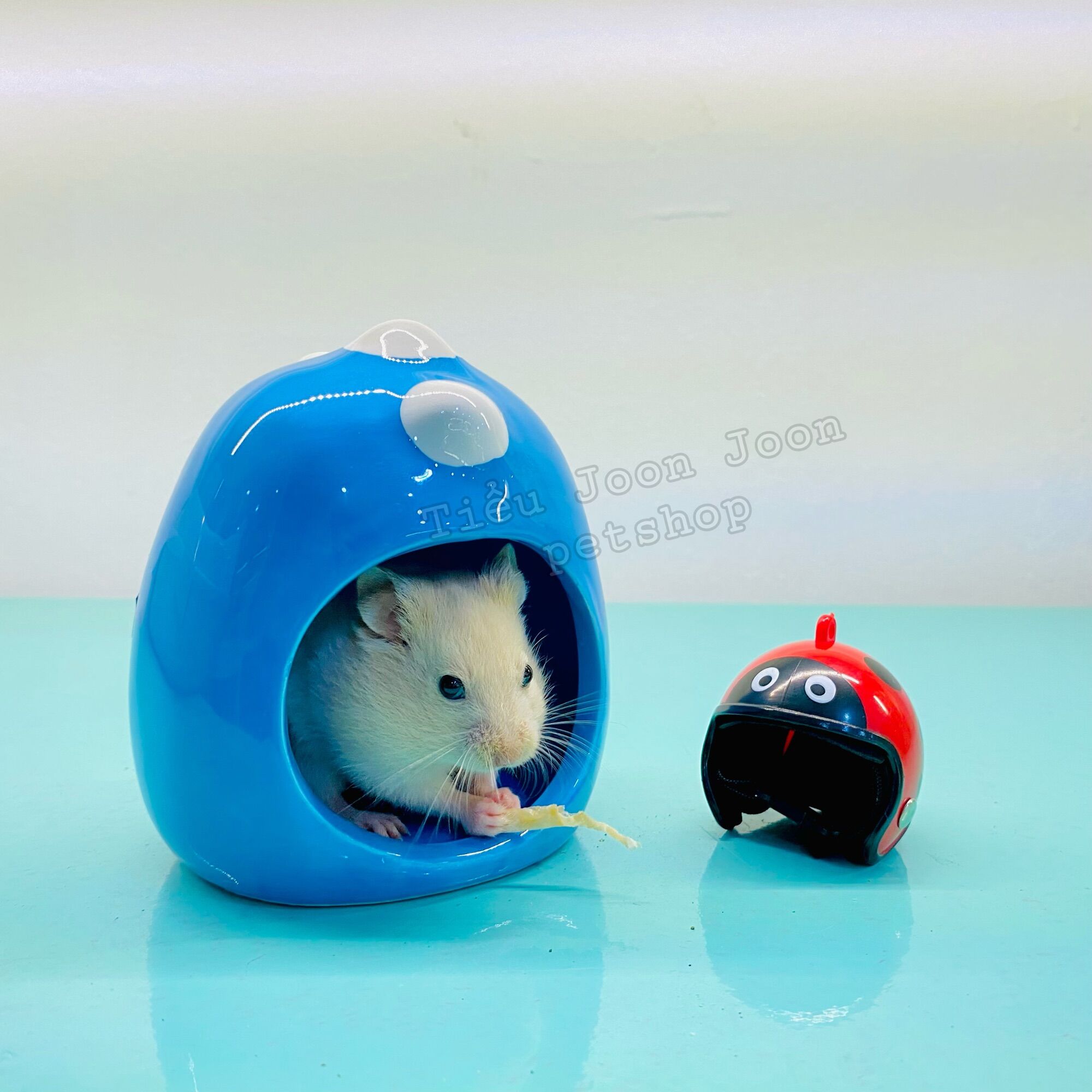 Nhà ngủ sứ Khủng long - Hamster🐹