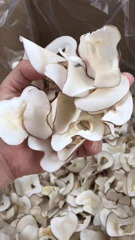 Dừa biển khô Thái Lan