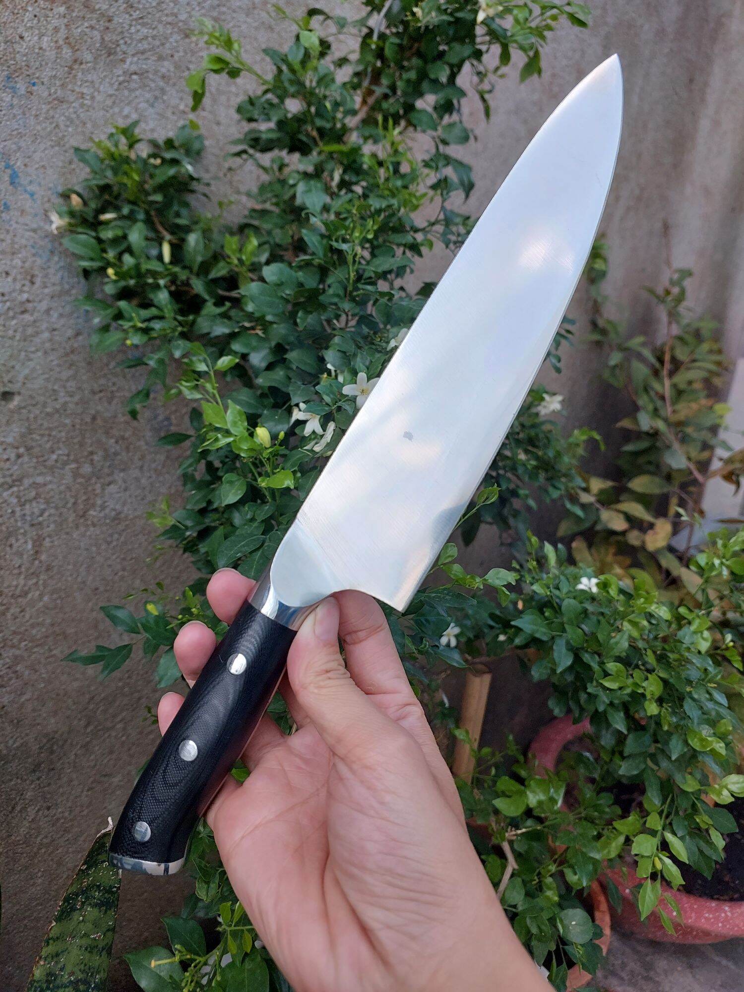 Dao thái thịt cán gỗ hàng Nhật, dài 33cm, sắc bén