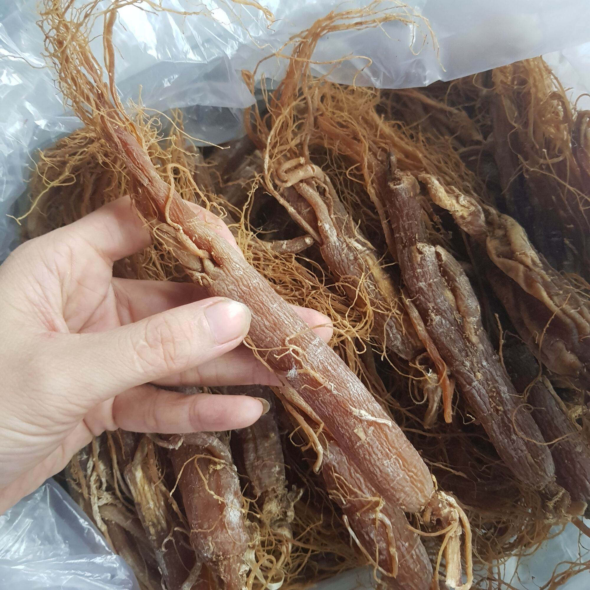 100gr Nhân Sâm, Hồng sâm khô