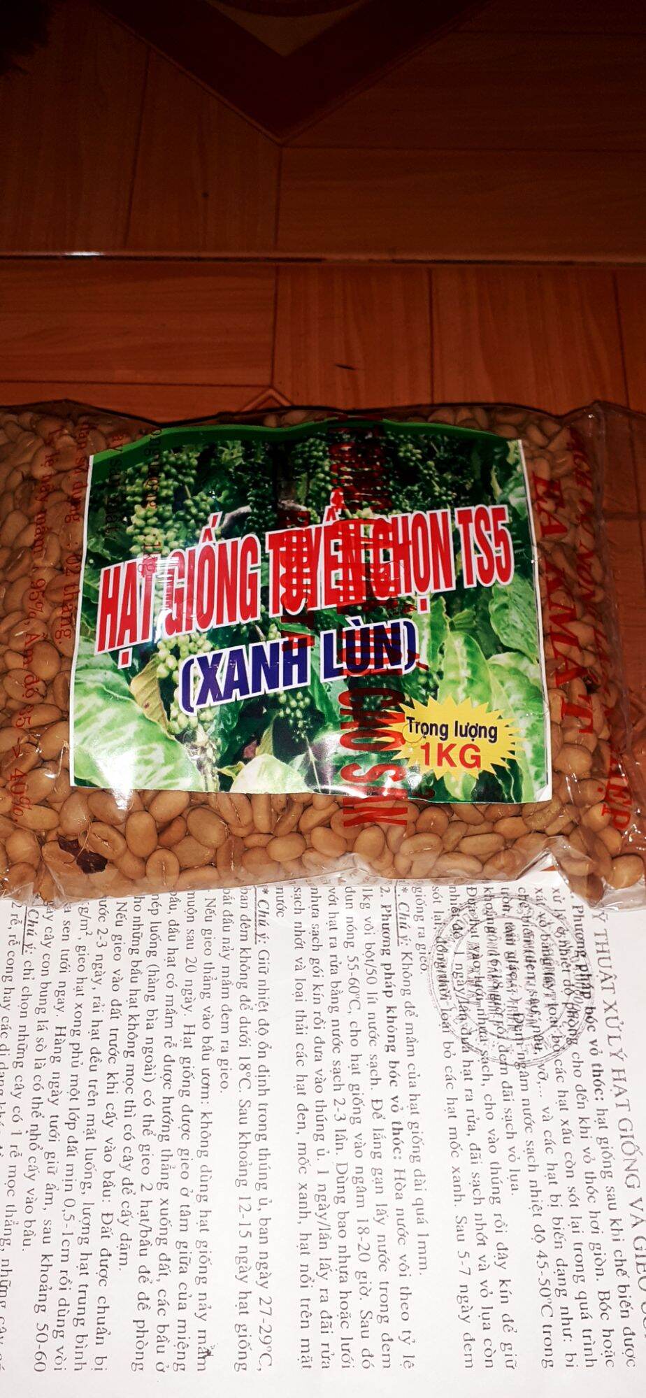 1KG Hạt giống cà phê xanh lùn