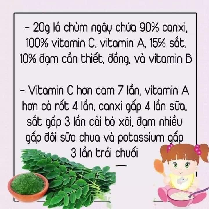 Bột chùm ngây Moris nguyên gói 100g
