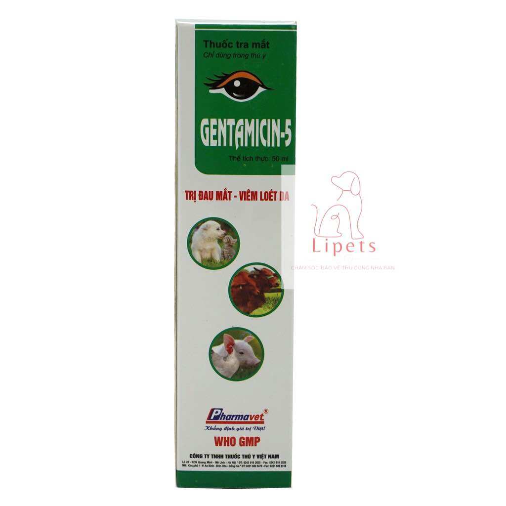 Gentamycin-5 [50 ml] nhỏ mắt chó mèo, heo bò