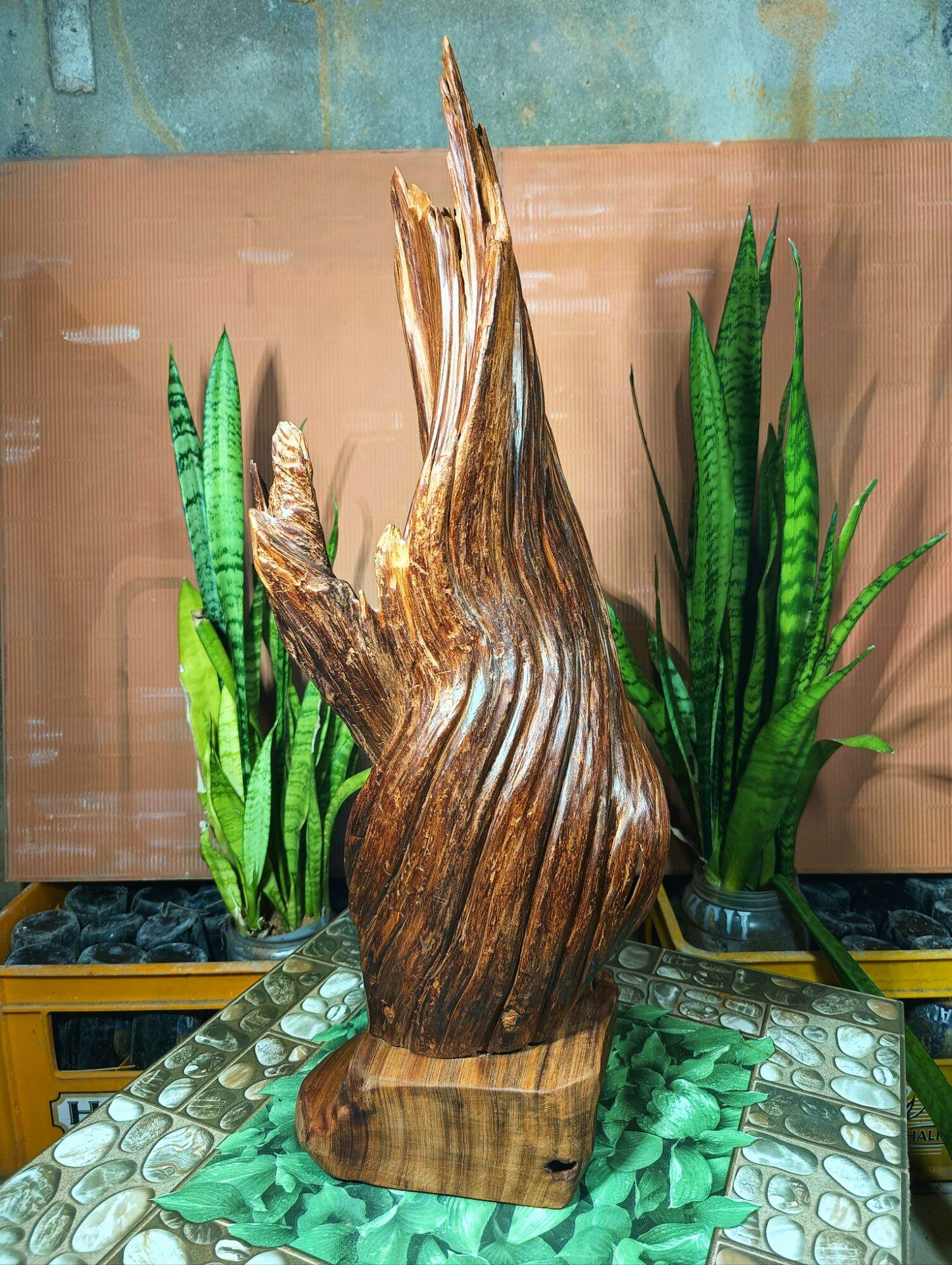 lũa gỗ thơm ngọc am đỏ hà giang