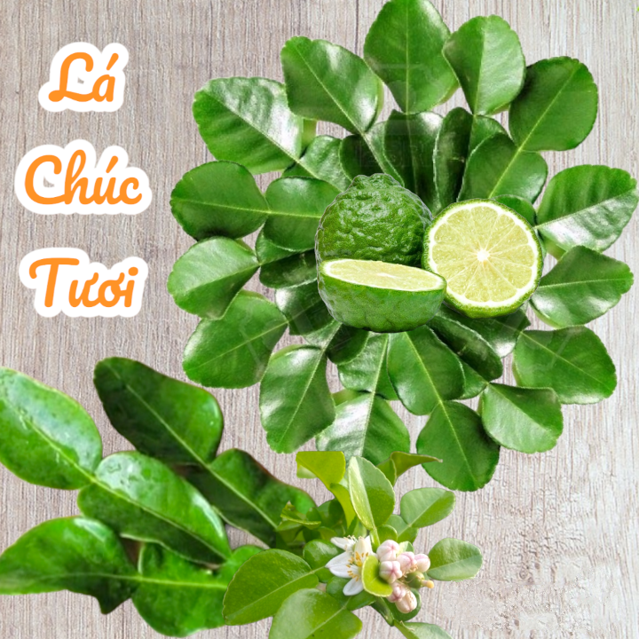 Lá chúc tươi - 1kg